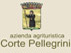Guarda il video