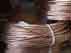 Guarda il video