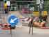 Guarda il video
