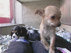 Guarda il video