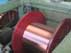 Guarda il video