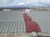 Guarda il video