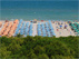 Guarda il video