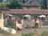 Guarda il video