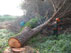 Guarda il video