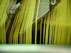 Guarda il video